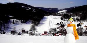 Dolní Dvůr - Luisino údolí photo