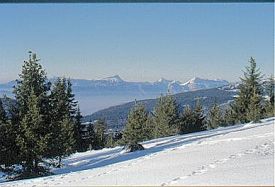 Alpe du Grand-Serre photo