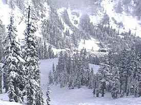 Alpental At The Summit photo