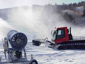 Gunstock photo