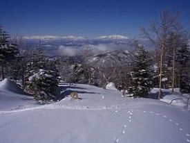 Shiga Kogen-Higashitateyama photo