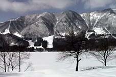Sun Alpina Hakuba Sanosaka photo