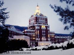 The Homestead Ski Area photo