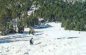 Williams Ski Area photo