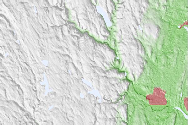 @{@location.name} neighbourhood basemap