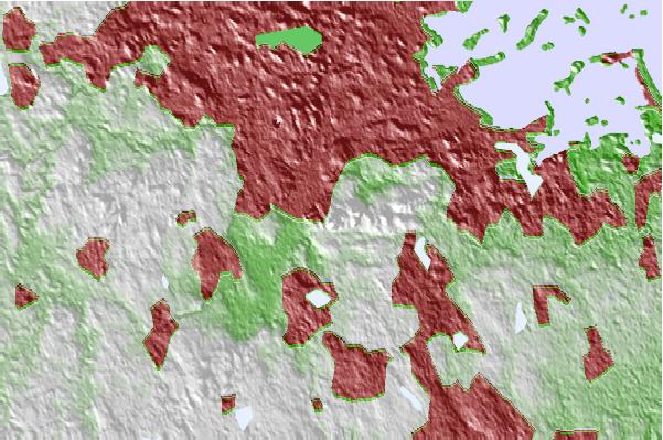 @{@location.name} neighbourhood basemap