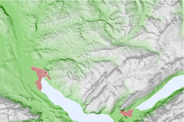 @{@location.name} neighbourhood basemap