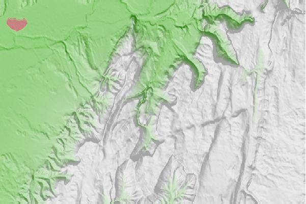 @{@location.name} neighbourhood basemap