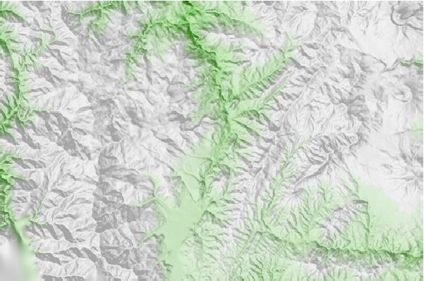 @{@location.name} neighbourhood basemap