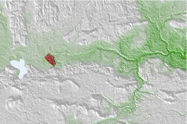 @{@location.name} neighbourhood basemap