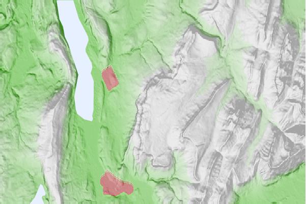 @{@location.name} neighbourhood basemap