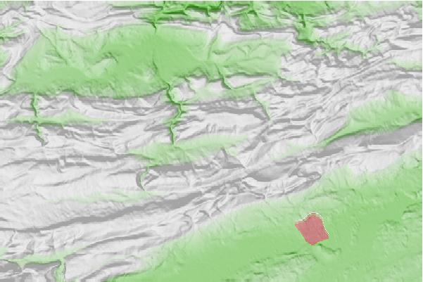 @{@location.name} neighbourhood basemap