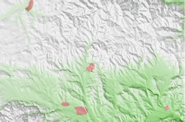 @{@location.name} neighbourhood basemap