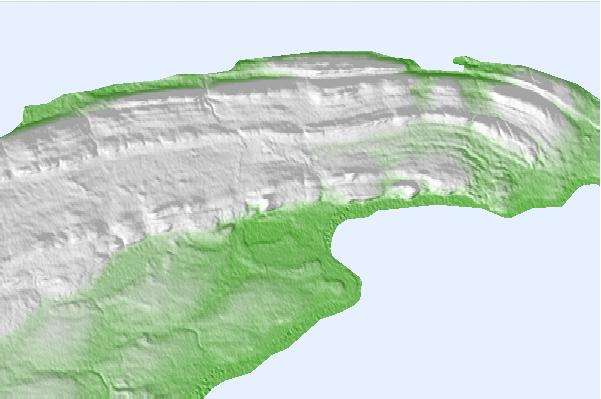 @{@location.name} neighbourhood basemap
