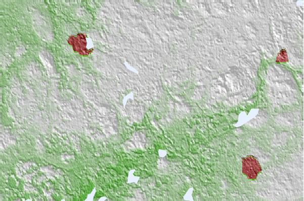 @{@location.name} neighbourhood basemap