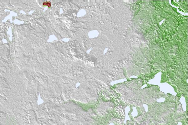 @{@location.name} neighbourhood basemap