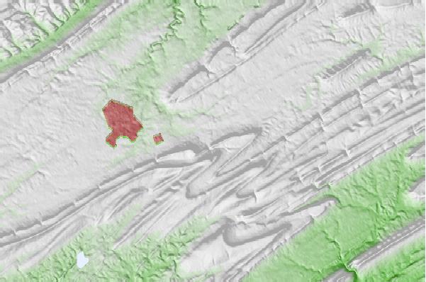 @{@location.name} neighbourhood basemap