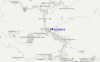 Streetview Map