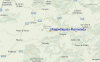 Local Map