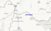 Local Map