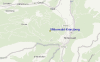 Streetview Map