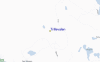 Streetview Map