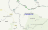 Local Map